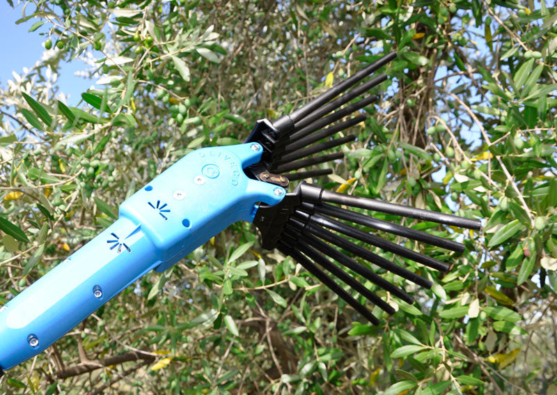 Oliveco Elektrischer Olivenschüttler