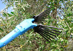 Oliveco Secoueur électrique
