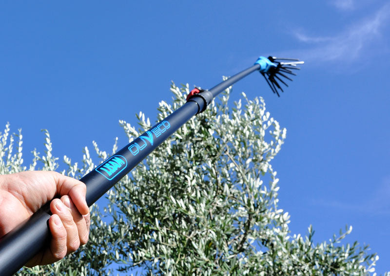Oliveco Elektrischer Olivenschüttler