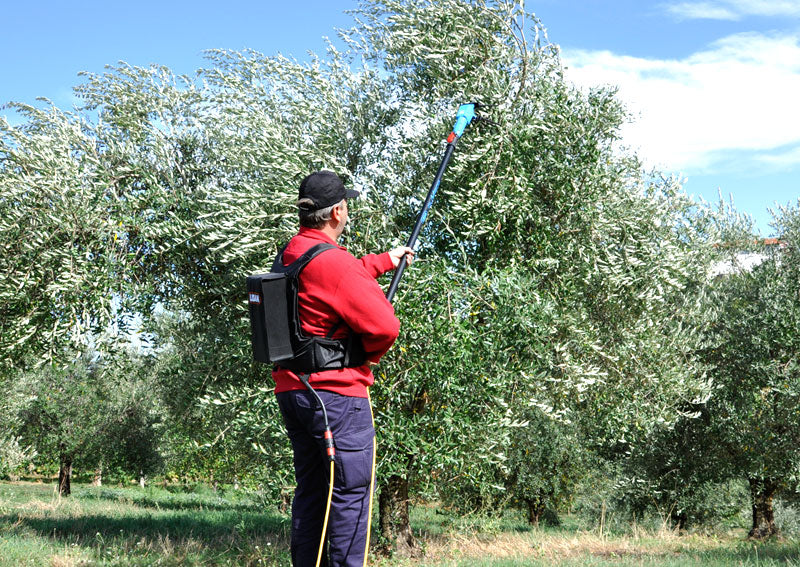 Oliveco Elektrischer Olivenschüttler