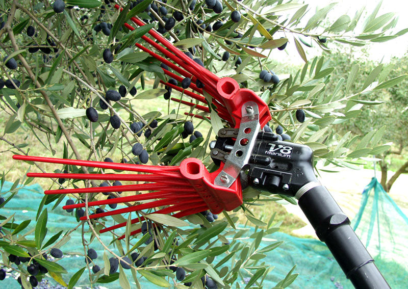V8 Titanium Pneumatischer Olivenrüttler