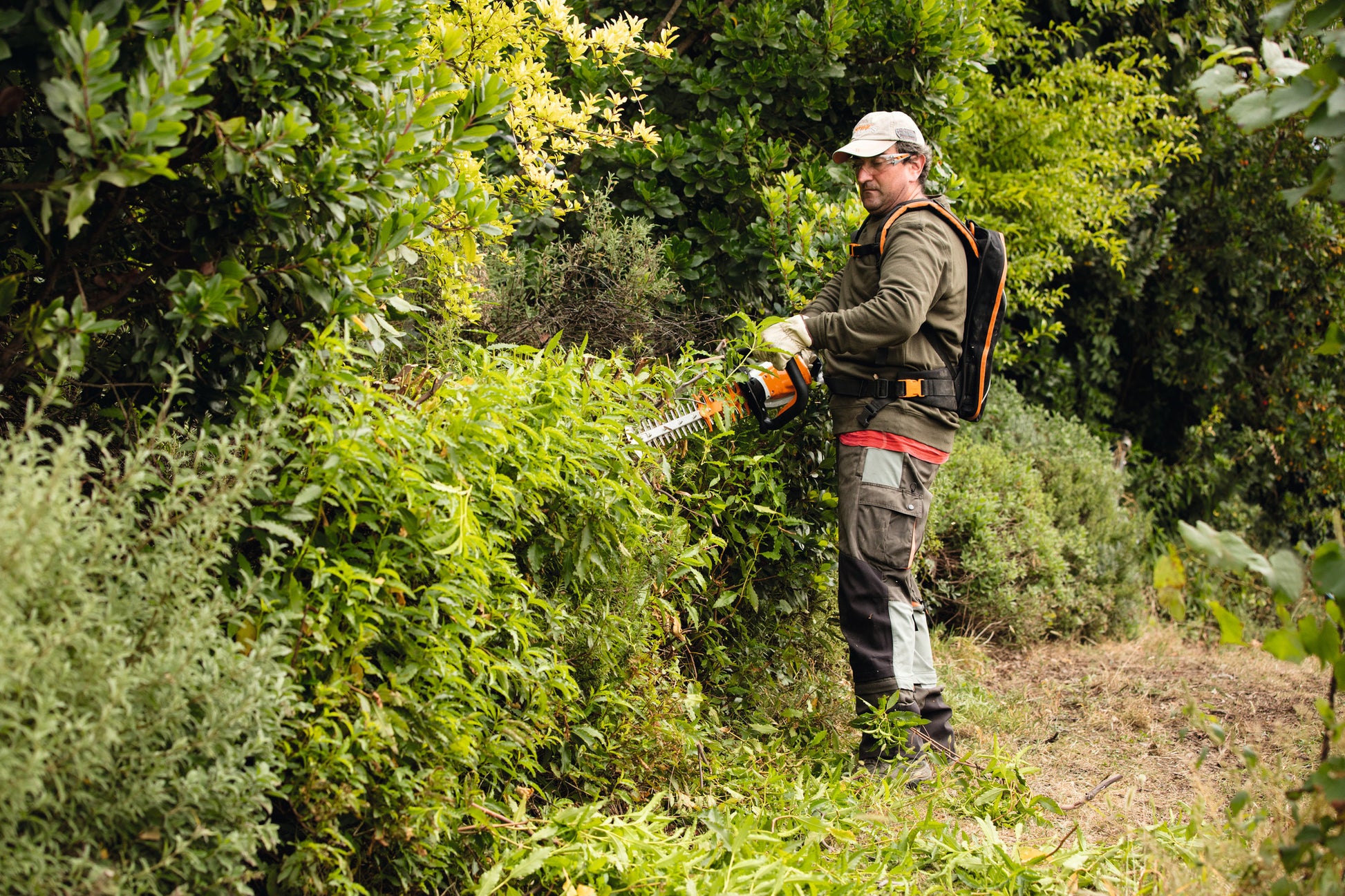 Particolare del sistema di protezione guida del tosasiepi Stihl HSA 94 R
