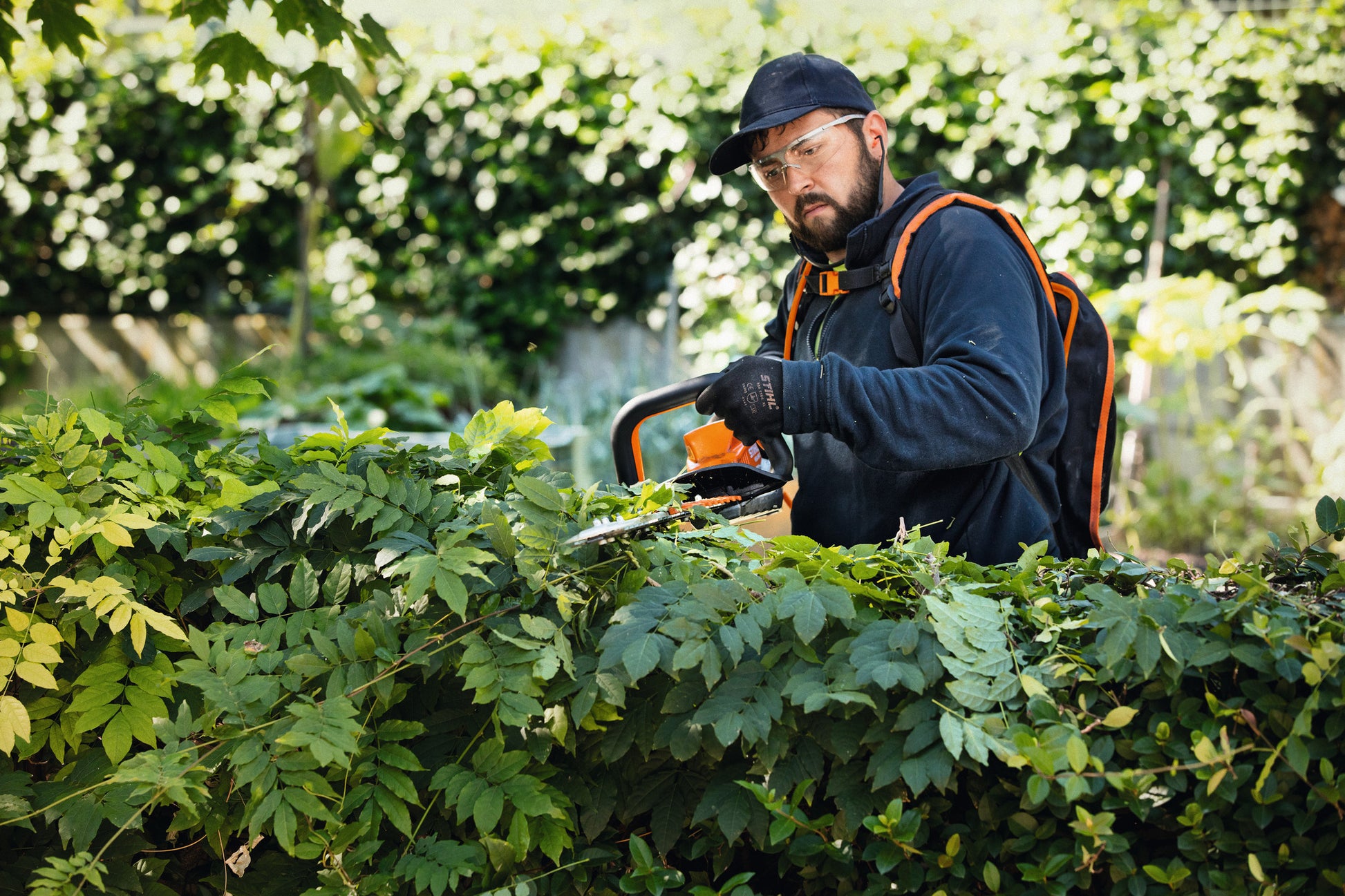 Stihl HSA 94 R in azione, durante il taglio di una siepe