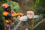 Vista frontale della motosega STIHL MSA 220 TC-O