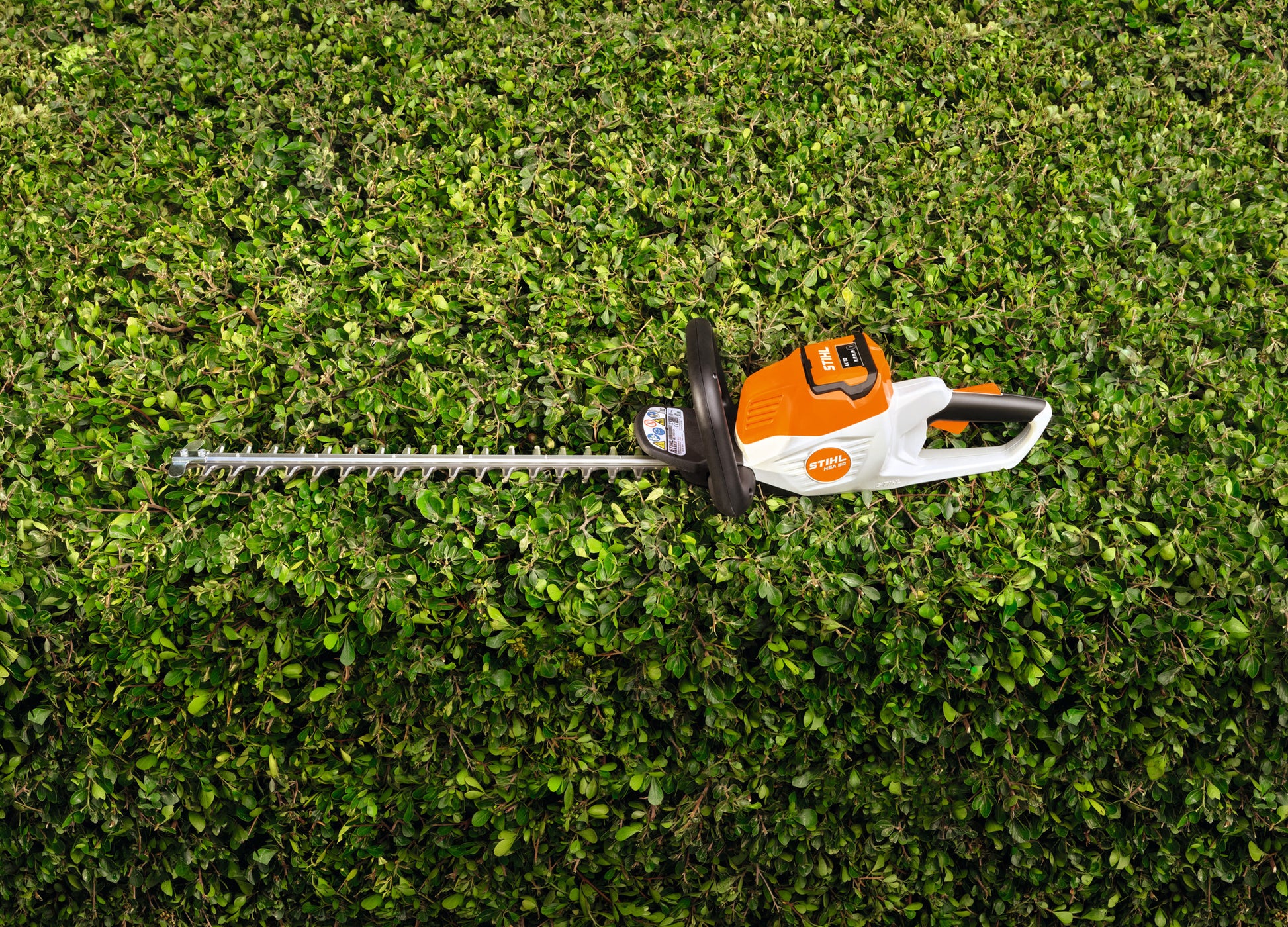 Vista frontale del tagliasiepi STIHL HSA 50
