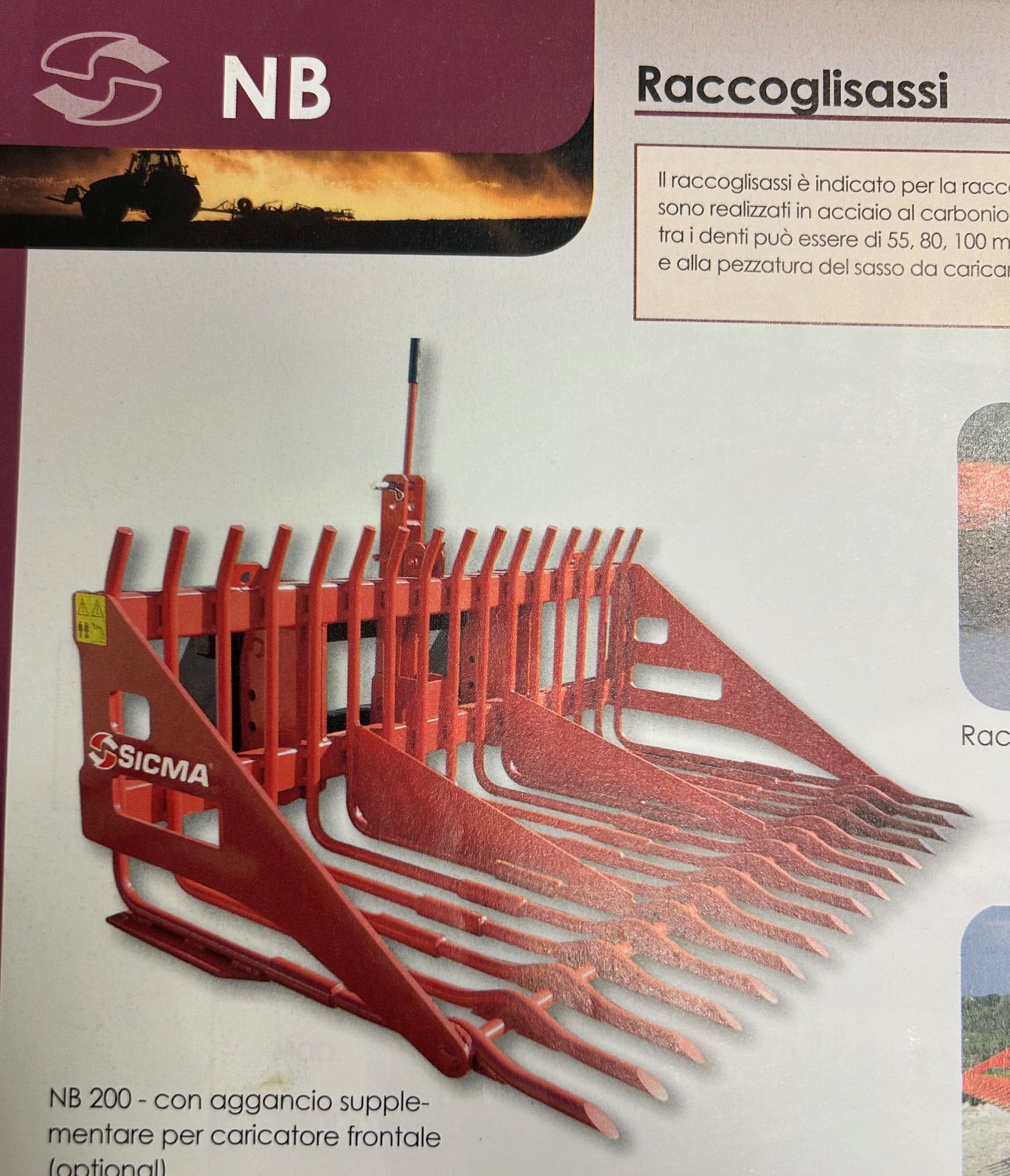 Steinsammler - NB 160