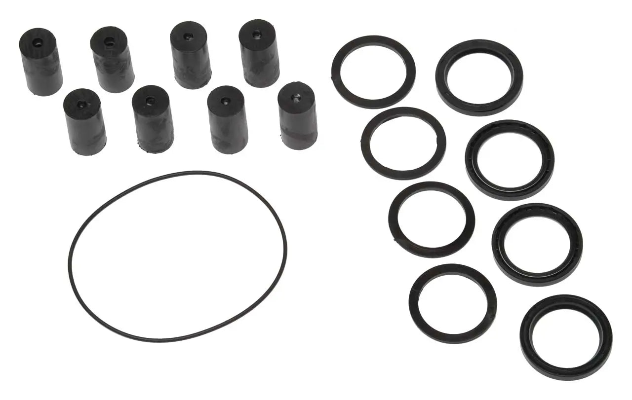 Kit riparazione Ferroni per pompe ML 20 e MLI 25 con rullini ML, anelli di tenuta, distanziatori e O-ring coperchio