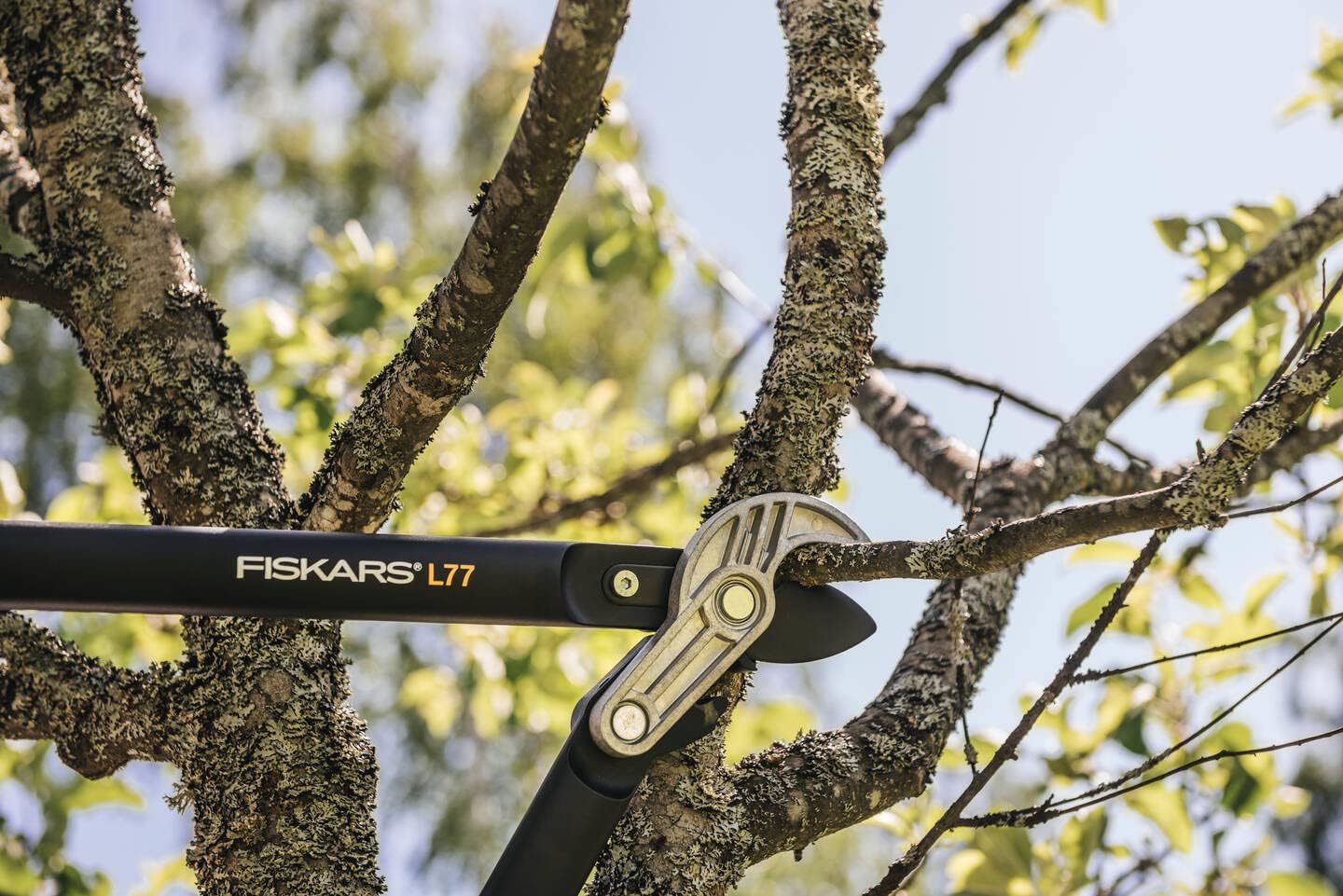 Troncarami a incudine Fiskars PowerGear II L77 dettaglio taglio su ramo