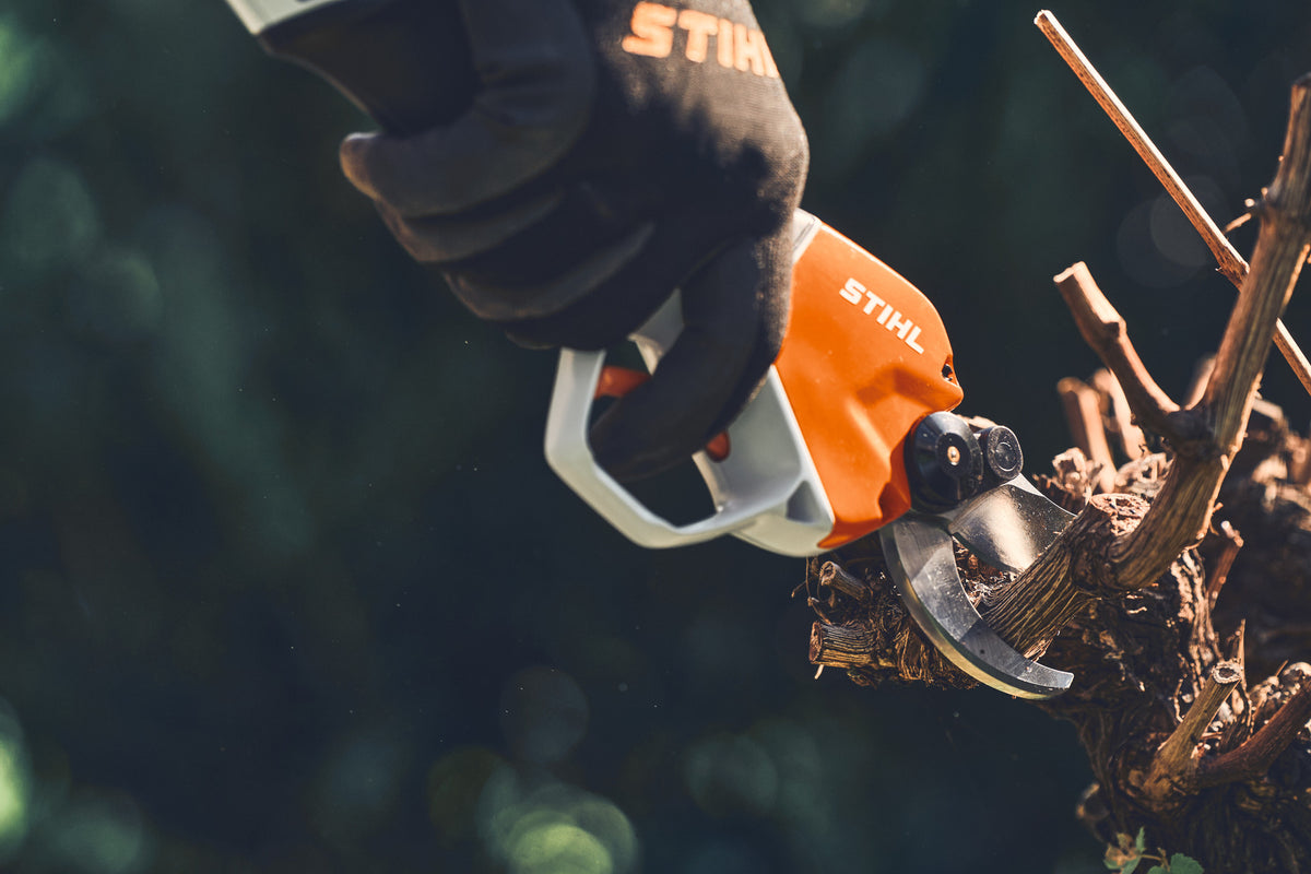Mano con guanto che usa la cesoia Stihl ASA 130 su un tralcio