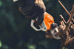 Mano con guanto che usa la cesoia Stihl ASA 130 su un tralcio