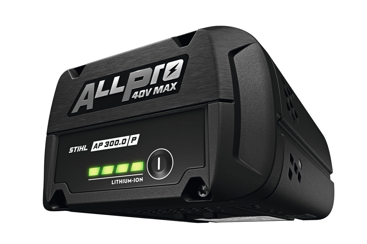 Batteria AP 300.0 P