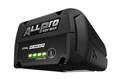 Batteria AP 300.0 P
