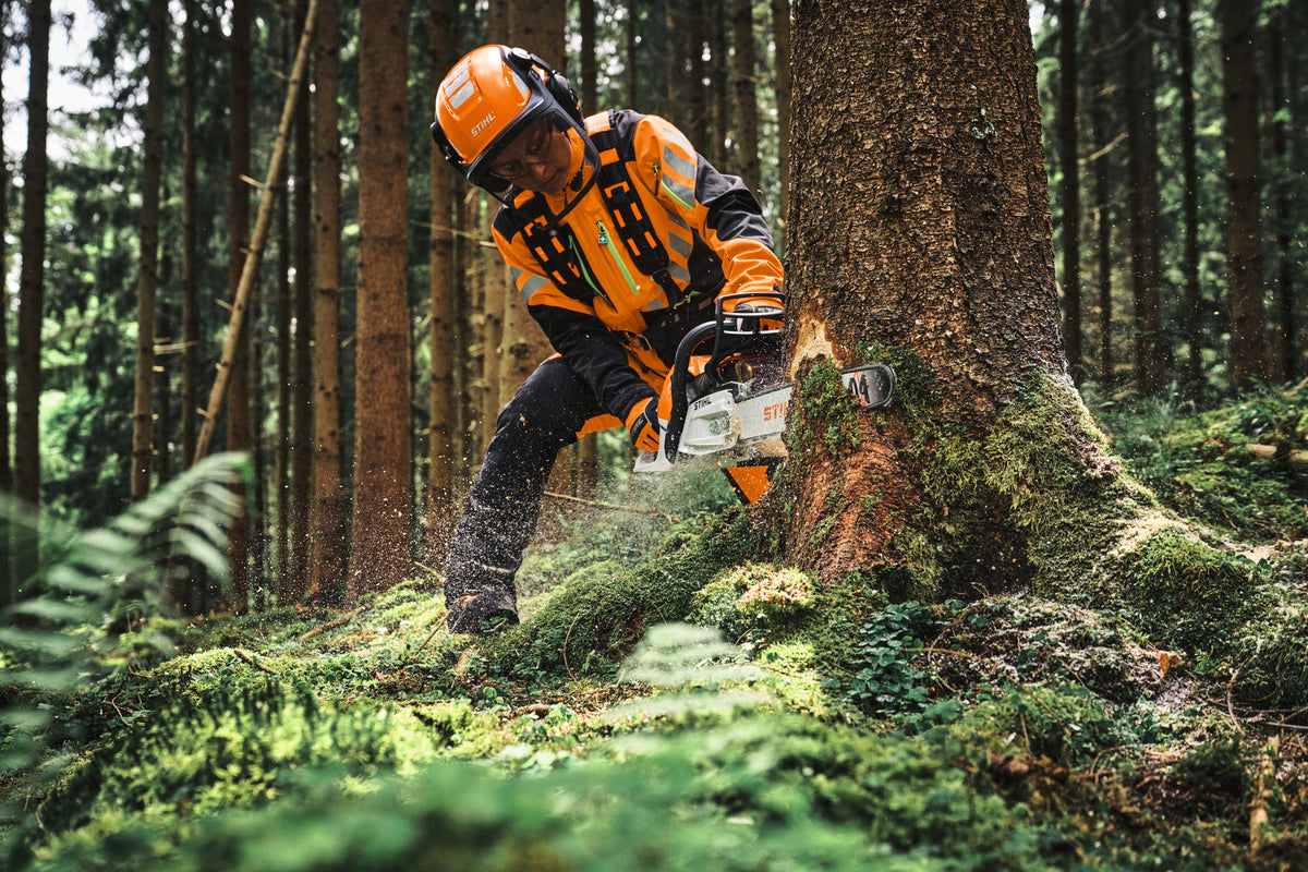 Operatore con motosega STIHL MS 300 C-M al lavoro alla base di un albero nel bosco.