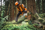 Operatore con motosega STIHL MS 300 C-M al lavoro alla base di un albero nel bosco.
