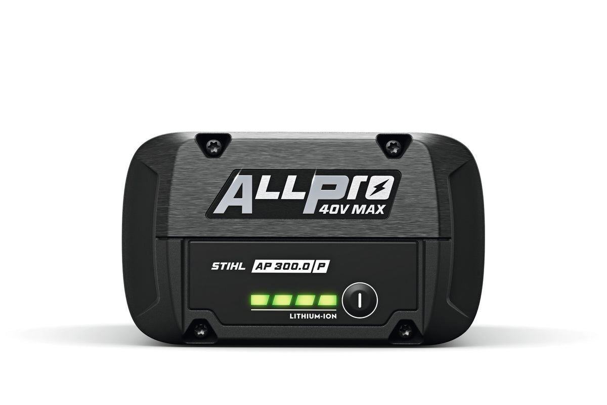 Batteria AP 300.0 P