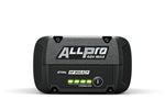 Batteria AP 300.0 P