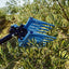 Olistar Metal Top Peigne vibreur pneumatique