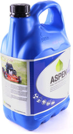Aspen 4 petrol 5L benzina alchilata 4 tempi tanica professionale