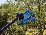 Campagnola Olistar Metal Top abbacchiatore pneumatico in lavoro su olivo
