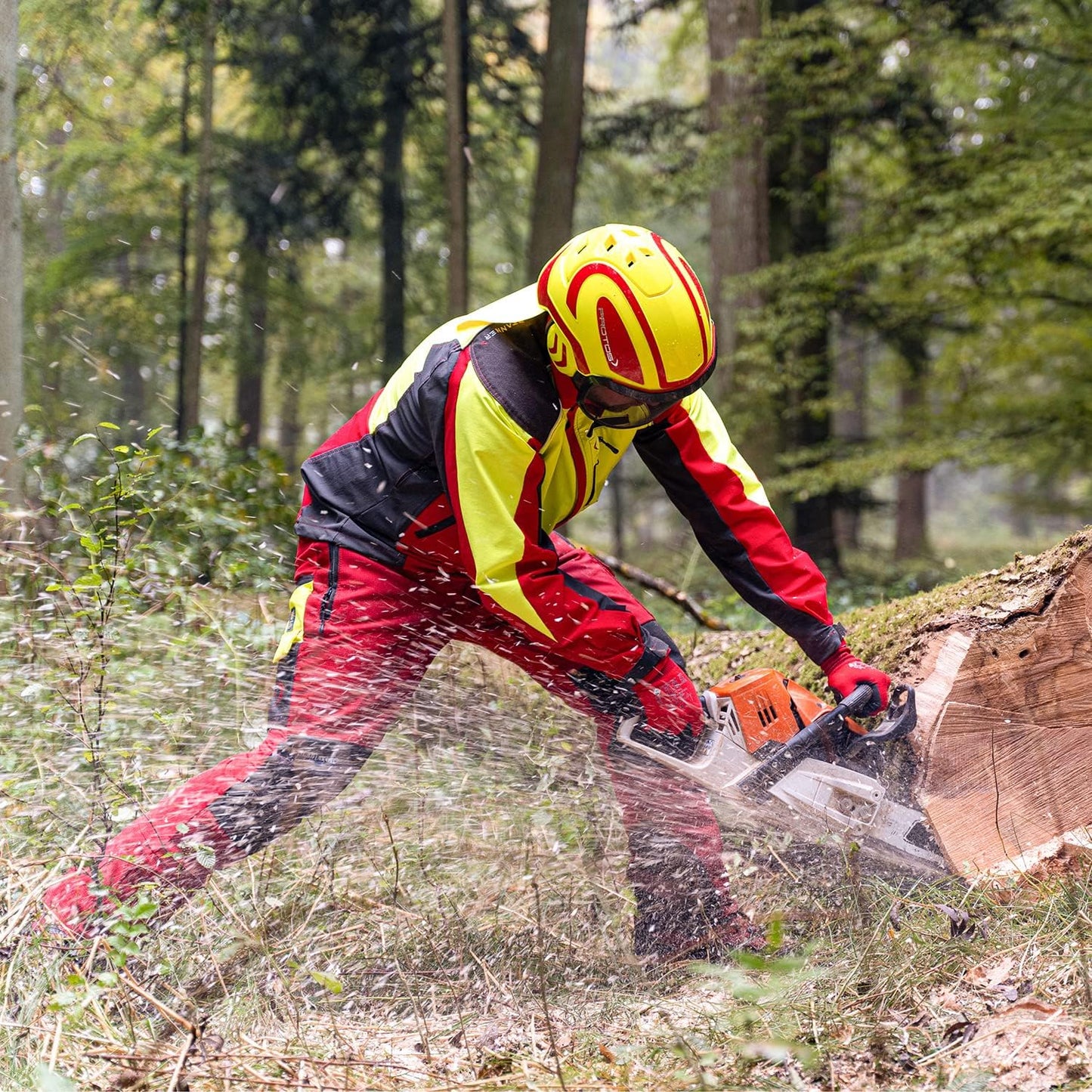 Casco da arboricoltore Protos rosso giallo con visiera fine durante taglio legna