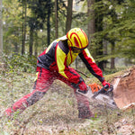 Casco da arboricoltore Protos rosso giallo con visiera fine durante taglio legna