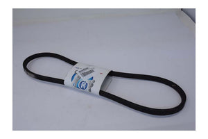 Bcs - Cinghia Trapezoidale