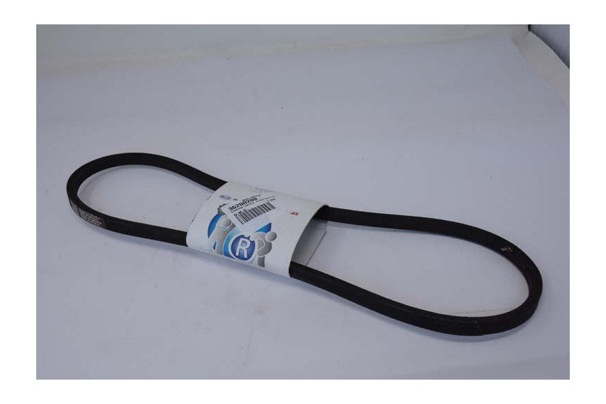 Bcs - Cinghia Trapezoidale