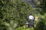 Vista posteriore trattore Farmtrac 20 4RM in frutteto tra i filari