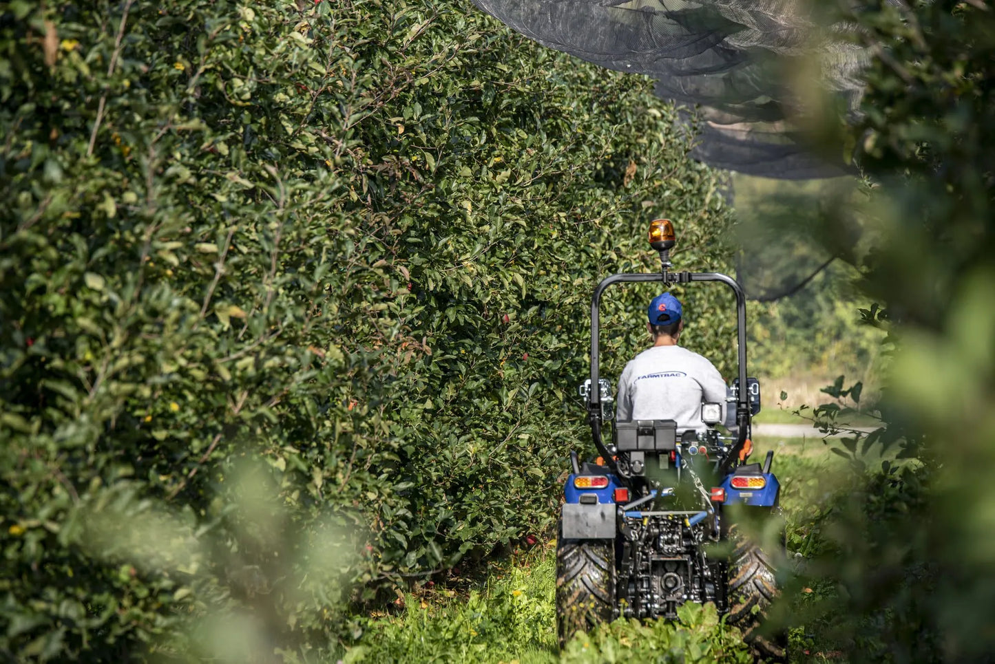 Trattore compatto Farmtrac 4RM vista posteriore con telaio ROPS