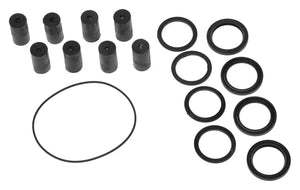 Kit riparazione Ferroni per pompe ML 20 e MLI 25 con rullini ML, anelli di tenuta, distanziatori e O-ring coperchio