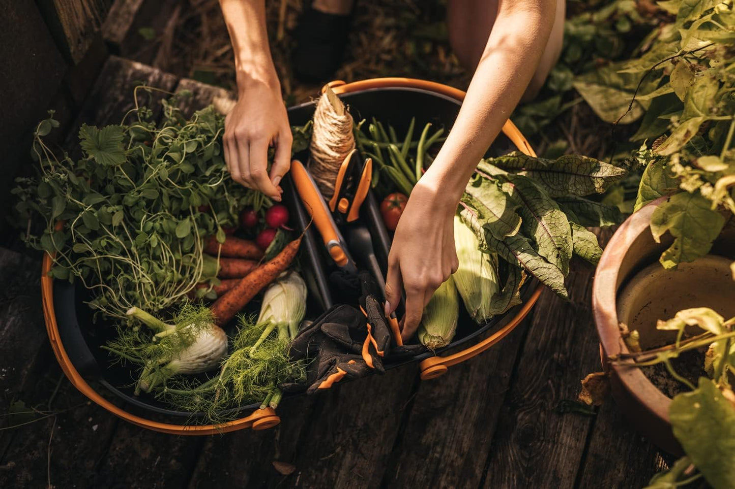Cesta per raccolto Fiskars Plus con ortaggi e attrezzi da giardinaggio