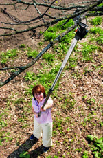 Cesoie telescopiche Fiskars UP 86 in uso per potatura rami