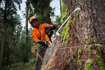 Motosega Stihl MS 500i in fase di abbattimento con spranga lunga