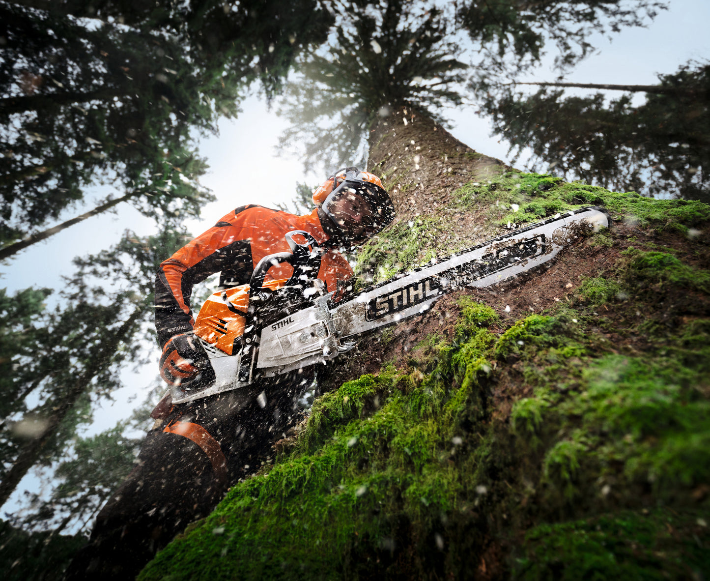 Motosega Stihl MS 500i impiegata in lavori forestali su grande tronco