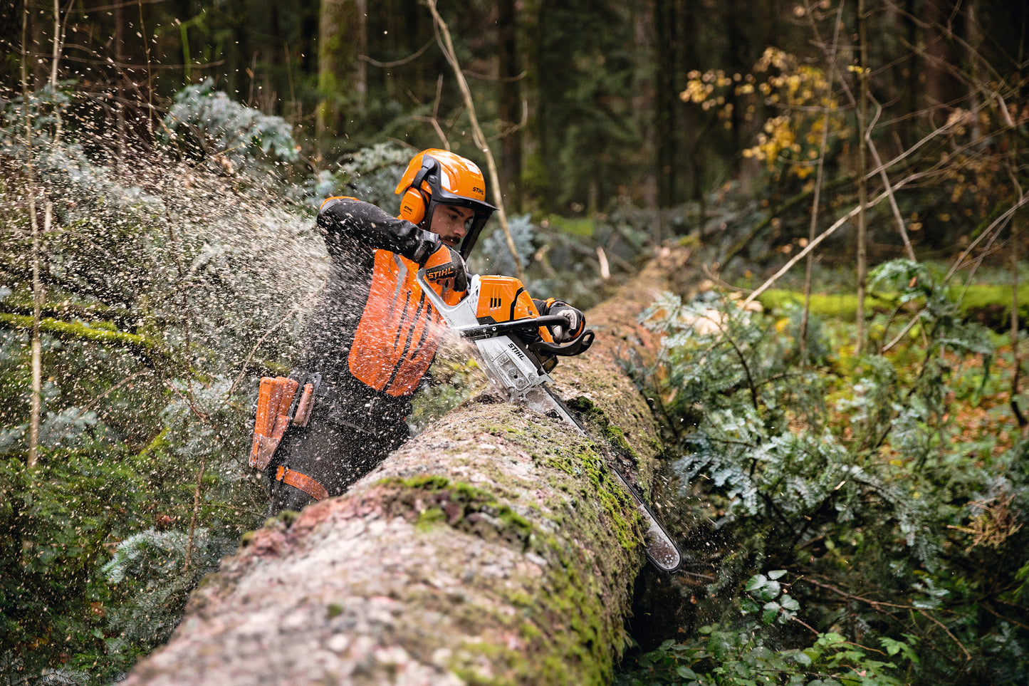 Operatore con motosega Stihl MS 500i durante taglio di tronco