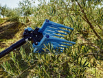 Testa Campagnola Olistar Metal Top abbacchiatore pneumatico su rami di olivo