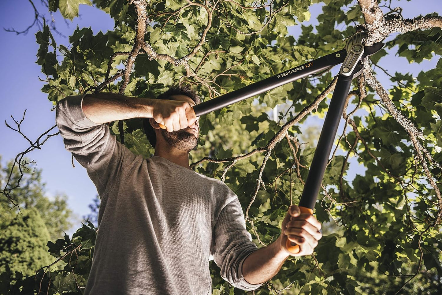 Troncarami Fiskars PowerGear II L77 in uso su ramo alto