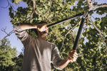 Troncarami Fiskars PowerGear II L77 in uso su ramo alto