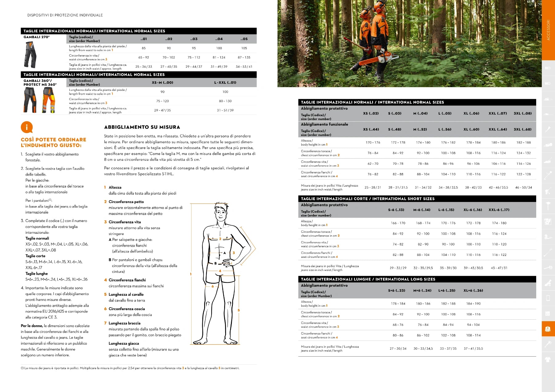 Document STIHL complet sur les tailles : vêtements, jambières, tailles normales, courtes et longues.